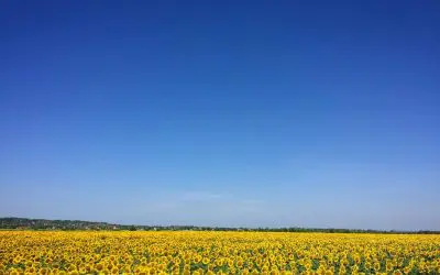 With The Government Shutdown, Have You Noticed The PERFECTLY Blue and Clear Skies?