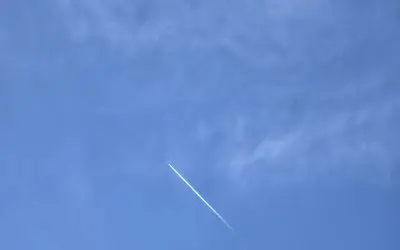 Disgusting poison/dats on end