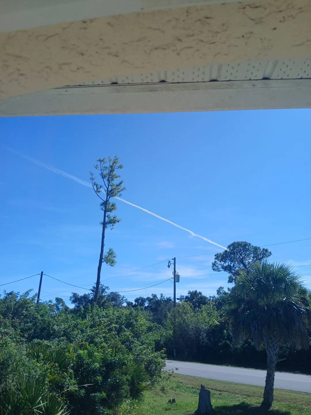 1b43973e-5ce8-4025-b561-f9dbcd643308