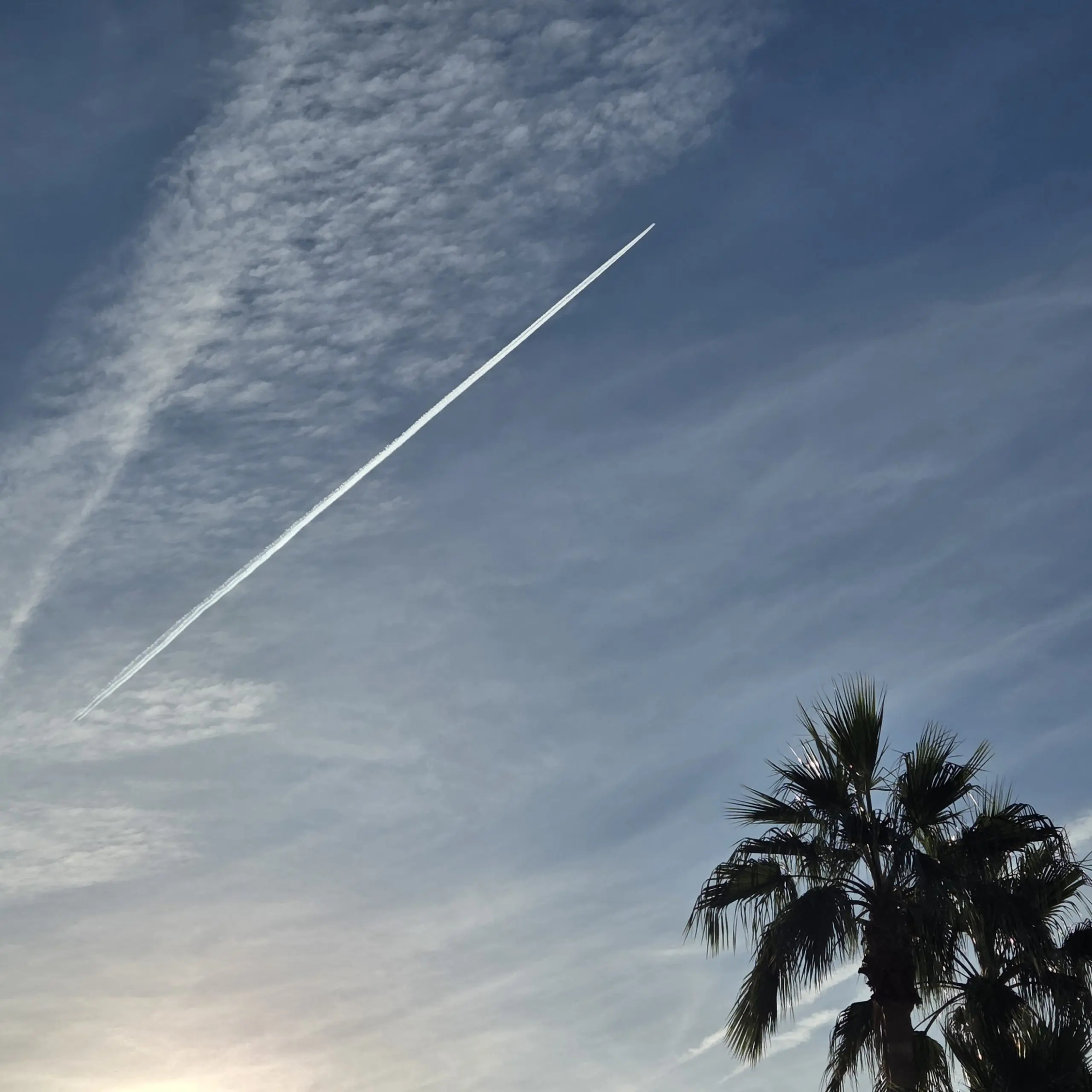 20251117_082122-pic1