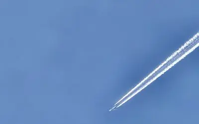 Poison on Thanksgiving