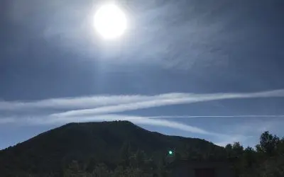 Dewey Arizona – Heavy Spraying Today and All Year Has Devastated Wildlife and Insect Populations and Weakened Forest Trees Leaving Them Vulnerable To Disease and a Slow Death!