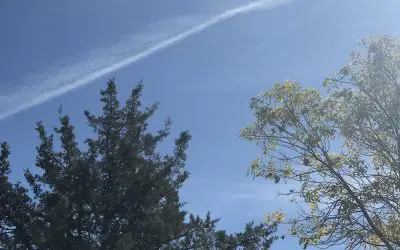 Dewey Arizona – Turning The Sky Gray Again!  These Idiots Have To Be Stopped!