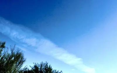 Blotting out the morning sun in Casa Grande Arizona. Go onto Truth Social and educate the President on these.