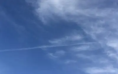 Contact the White House and demand an end to the spraying of our skies!