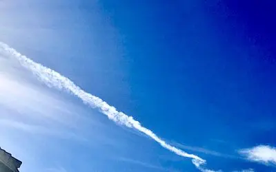 We need to stand up and fight these creeps. On this Veterans Day, ask yourself, Is this what our fighting men fought and died for? They fought for freedom, this is enslavement.