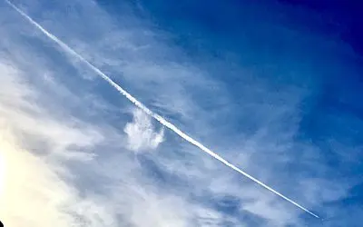 Stand up and fight these criminals. They are trying to kill us, take the gloves off and defend yourselves!