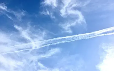 Trump is just like all the rest of the swamp.