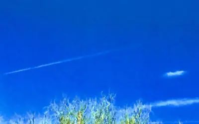 Trump! Do your job. America First! And get these stupid things out of our skies! Do your job.