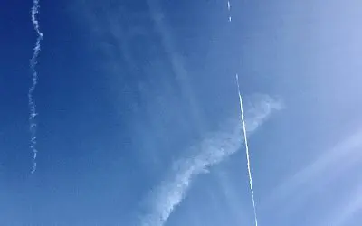 Vote for a Con-Man and get a Con-Job.