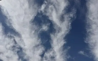 While the President calls people names on social media, the people of Florence Arizona get sprayed.