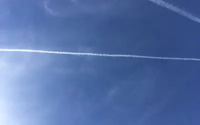 Trump and Bobby aren’t going to stop these. It’s up to you and me.