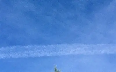 If these sky dimming streaks are only contrails as a few claim. Then we need to sue the airline industry for destroying our skies.