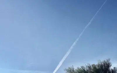 Thanksgiving week in Trump’s ‘America’