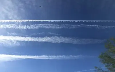 hAppY ThAnKsgiVinG from katie Hobbs state of ARiZonA