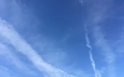 It’s not why are they doing it. It’s why are we allowing them to do it?