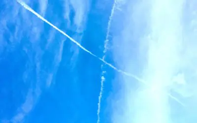 Thanksgiving Day in central Arizona. These freak-tards won’t stop until We Stop Them. Do you understand?