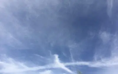 Trump Administration completely covering our Holiday skies. Why Trump? Why Kennedy?