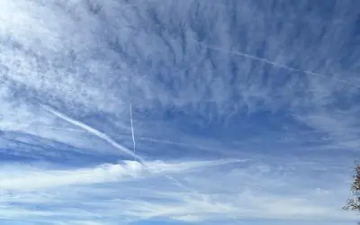 Montrose Colorado Saturday 11-1-2025