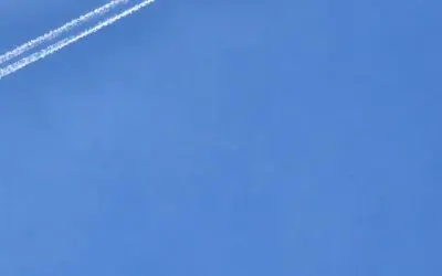 WAS gorgeous this AM. Then the spraying started.