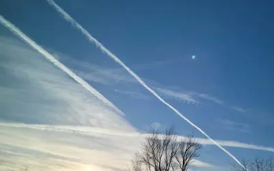 Email/Call State Reps!