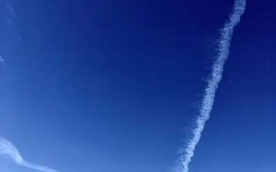 Cowardly, lazy, and brainwashed. Won’t even stand up against this tyranny. Please do not mention the names of those such as Benjamin Franklin or Thomas Jefferson and especially George Washington. They were brave, intellectually strong and fearless. They are my fellow Americans. As for the majority residing in the land of my Forefathers….not even worthy to invoke their names.