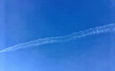 Pork derivatives have been detected in some of the chemtrail samples. That should be of concern to those of Islamic and Jewish faiths.