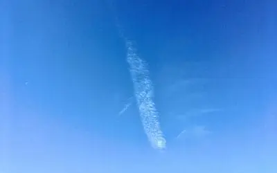 Cada Grand Arizona Saturday Dec 13 at 10:15 AM a crime was committed and here is the pictorial proof.