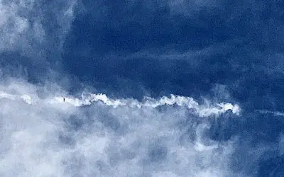 Let’s stop these creeps!