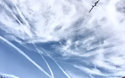 Trump remains silent and therefore complicit.