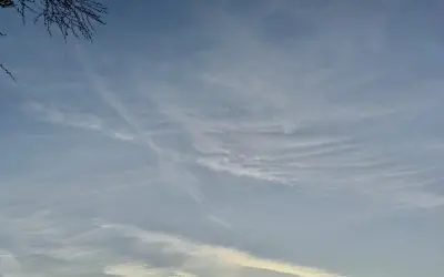 Casa Grande Arizona. Poison in the air.