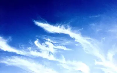 Boneheaded and freakishly inept Arizona State Government does absolutely nothing to stop or even hinder these crimes against humanity. Worthless, tell me again why we pay taxes for this s**t?