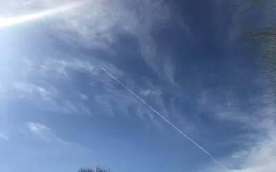 The Global Wellness Forum is an legitimate organization working to criminalize those perpetrating these crimes.