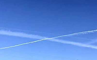 Hey Trump! Why are you allowing this? Why aren’t you stopping this? I don’t want my children living in these conditions.