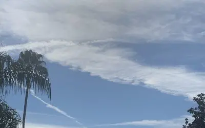 St. Petersburg Florida