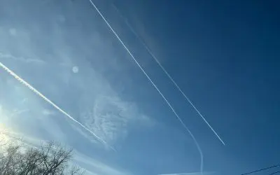 SAINT LOUIS MISSOURI