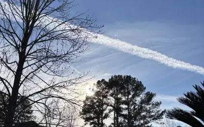 Will this CRAP ever stop!!!??? South Alabama