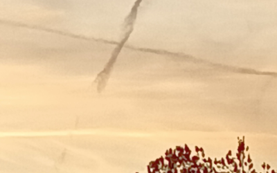 Changed color yesterday