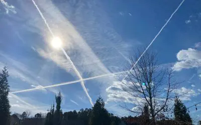 Happy New ChemTrail Cary