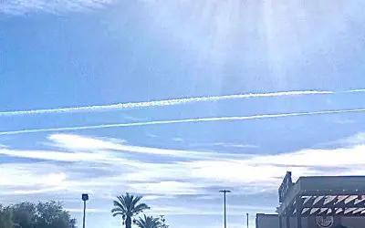 Why doesn’t Trump have a real scientist such as Dane Wigington, to be head of the EPA? He is qualified where as the current head is not qualified. We need Dane Wigington go Geoengineering Watch as head of the EPA.