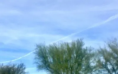 Trump can spend a Billions of your dollars to go and lasso a tin horned dictator but won’t stop these from sickening American citizens.