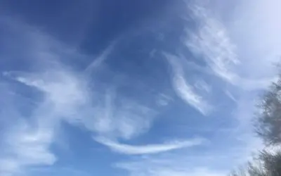 Chemtrails and poison for you you miserable tax slaves. Now get back to work! There’s more 3rd world nations to invade.