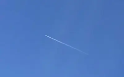 Donald (Nero) Trump. Stop spraying us out here. Stop