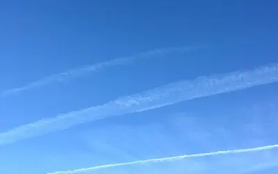 For those few of us in the US with critical thinking skills. We consider MAHA an insult as long as we are still being poisoned from above. Shame on you for trying to gaslight those few of us with critical thinking abilities.