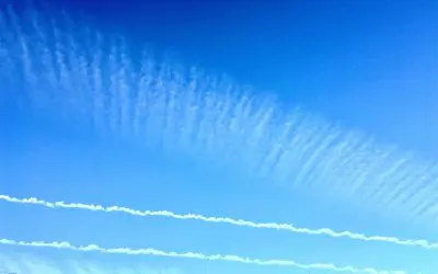 First politician that agrees to shoot these things out of the sky gets my vote and I will move my business to that state.