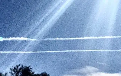 Trump! Is this the best got dude?