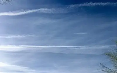 Mental illness of Arizona