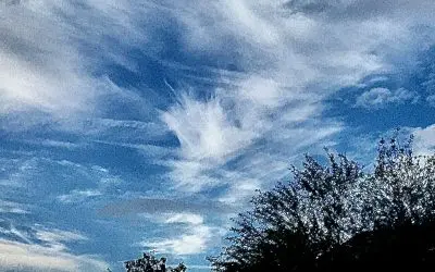 See the ebook ‘Veiled Skies, The Silent Crime Against Humanity-Unmasking The Truth Behind Chemtrails” read it for free at brightlearn.ai