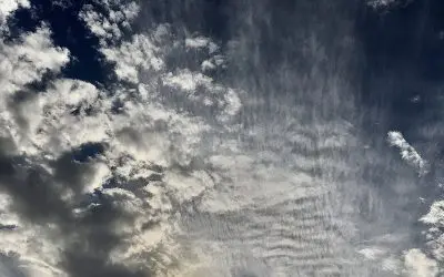 The absolutely feckless and irresponsible governor of Arizona, allows theAZ citizens to be chemically sprayed daily. How incredibly stupid and ignorant can one be?