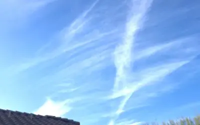 Tax, pay and spray Arizona